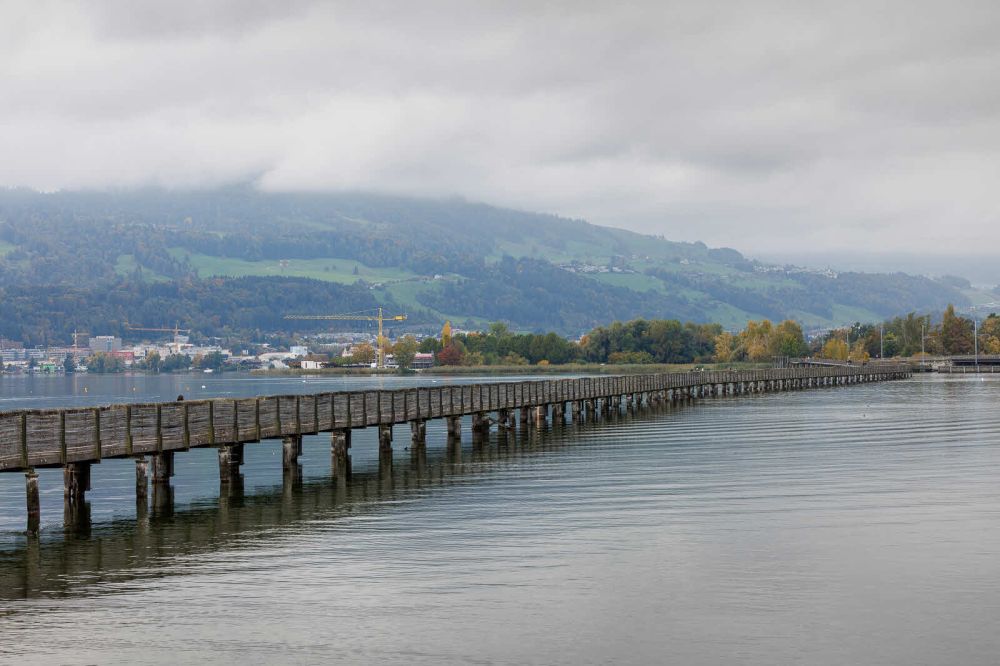 IMG 2025 10 11 0068078